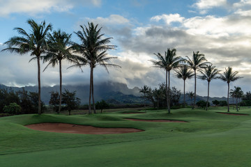 Green grassy golf course with palm trees and a cloudy sky, Poipu, Kauai