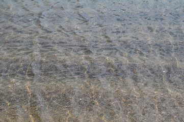 海
