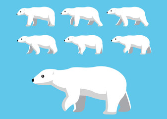 Polar Bear Walking Motion Animation Sequence Cartoon Vector Illustration