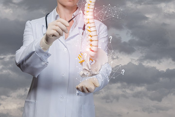 The doctor examines the spine of the man .