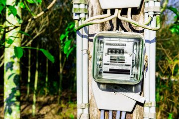Electric reading meter for house energy supply monitoring technology with green leaves background,...