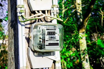 Electric reading meter for house energy supply monitoring technology with green leaves background, Kilowatt hour measurement appliance for home power monitoring in rural countryside