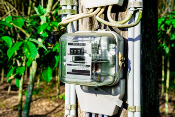 Electric reading meter for house energy supply monitoring technology with green leaves background,...