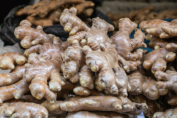Ginger (Zingiber officinale)  is a herb used as an ingredient in many things such as shampoo or conditioner.