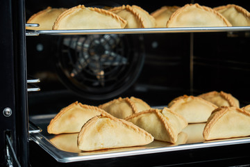 Industrial convection oven for catering. Professional kitchen equipment