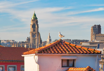 Obraz premium Beautiful and colorful Porto Streets near Rio Douro in historic center