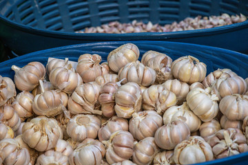 Garlic close up in green basket background.
