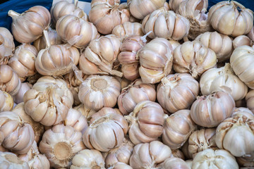 Garlic close up in green basket background.