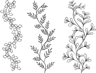 Art vase leaves icon vector. Sketch vintage design. Illustration for posters decoration.