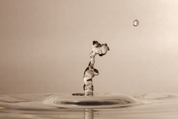 Water Drops