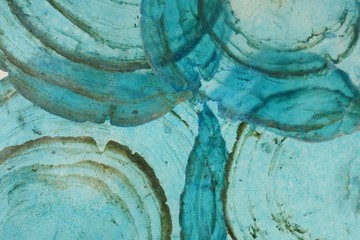mother of pearl slice macro. natural sea shell slice. blue texture mother of pearl close up. ...