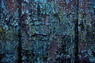 Old Wood Texture