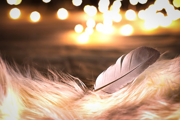 Natural white bird feather on white fur with bokeh light background 