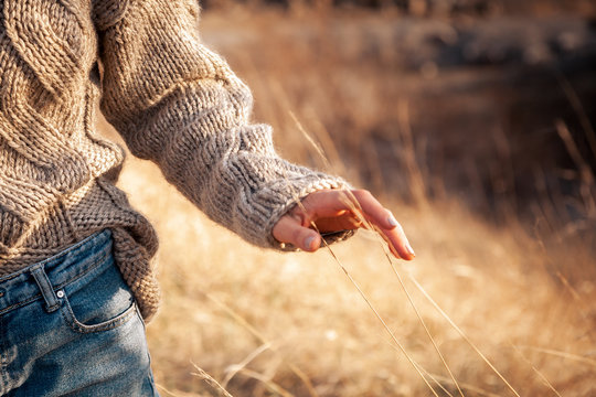 Close-up of a young woman in a knitted sweater and jeans walking through a wheat field and touching her ears of wheat