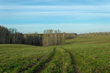 Obraz premium Field of grass and perfect sky