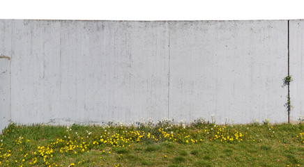 Gray high concrete wall on a hill with flowering dandelions