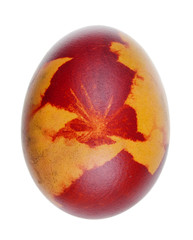 Easter rural chicken  egg  boiled in  with red onion peels  isolated white