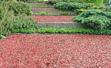 The terraces of the city park with evergreen coniferous bushes made of compost, concrete and bark