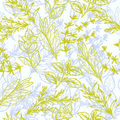 Fototapeta premium pattern spicy herbs