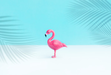 Flamingo bird model in color background.Summer and animal concepts