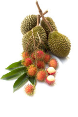 rambutan with leaf and durian isolated on white background