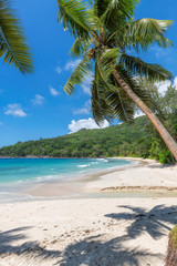 Tropical beach with coco palms in Seychelles, Anse Takamaka beach. Summer vacation and travel concept.  