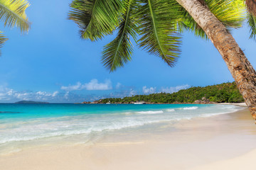 Palm trees on Anse Lazio beach at Praslin island, Seychelles. Summer vacation and travel concept.  