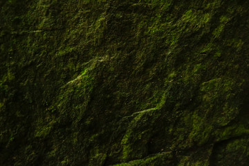 Background and black marble. Bedrock Stone In the forest near the waterfall
