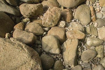 Background Coral dead at Phuket Thailand beach