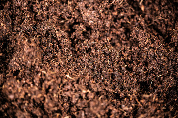 closeup of coconut fiber used as bio soil
