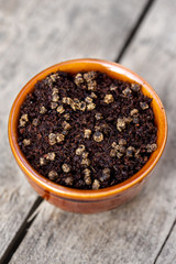 closeup of chard seedlings or sprouts in a pot with vintage wooden background