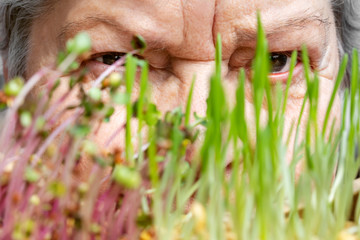 Senior woman face behind some fresh, healthy microgreens