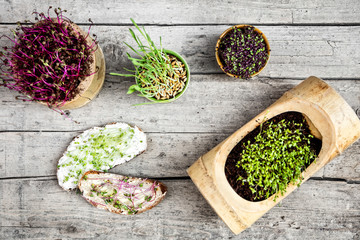 wooden background with fresh and healthy microgreens on it