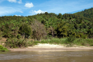 Kok river Thailand, view of banana trees surrounded by forest from flowing river