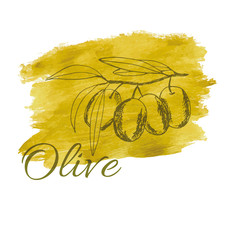 branch olives, sketch, vector illustration hand-drawn logo of olives - 267898028