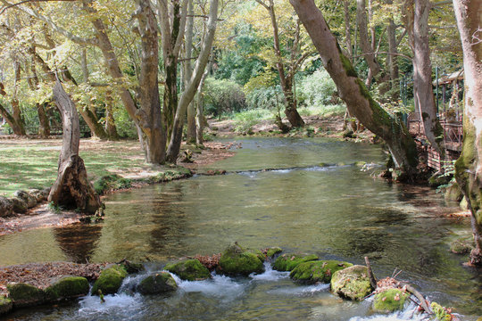 Agios Nikolaos Park Naousa Greece Europe