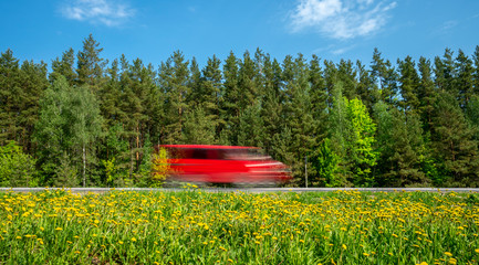 Red minivan rushes along the road along the forest, the roadside is covered with yellow dandelions.