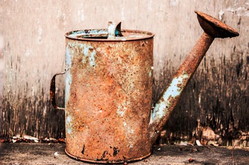 old watering can on wooden background
