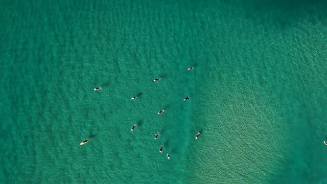 A high view of surfers sitting in the clear ocean water waiting to ride the waves