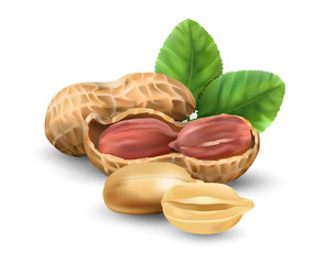 Peanuts isolated on white background for packaging. Protein nutrition. Nuts.