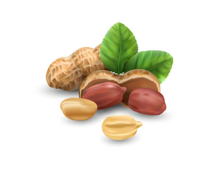 Peanuts isolated on white background for packaging. Protein nutrition. Nuts.