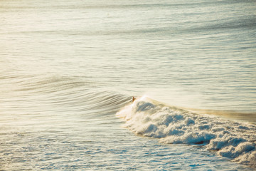 Naklejka premium Surfers and Waves at Bells Beach, Australia