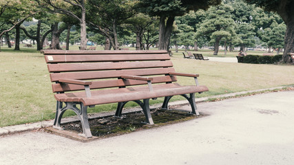 empty park bench in the garden