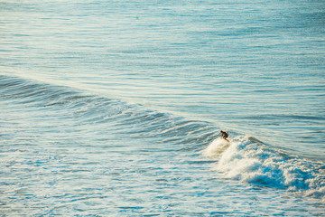 Naklejka premium Surfers and Waves at Bells Beach, Australia
