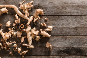 Curled wood shavings on table