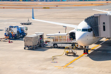 羽田空港第1旅客ターミナルの飛行機