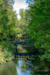 Fototapeta na wymiar blue bridge over the river in the forest