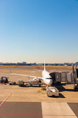 羽田空港第1旅客ターミナルの飛行機