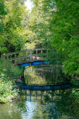 blue bridge over the river in the forest