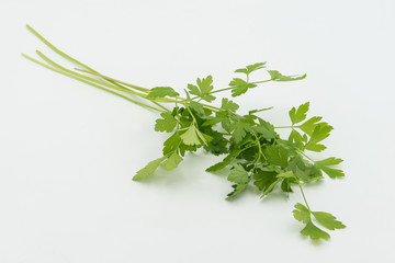 Parsley isolated close up